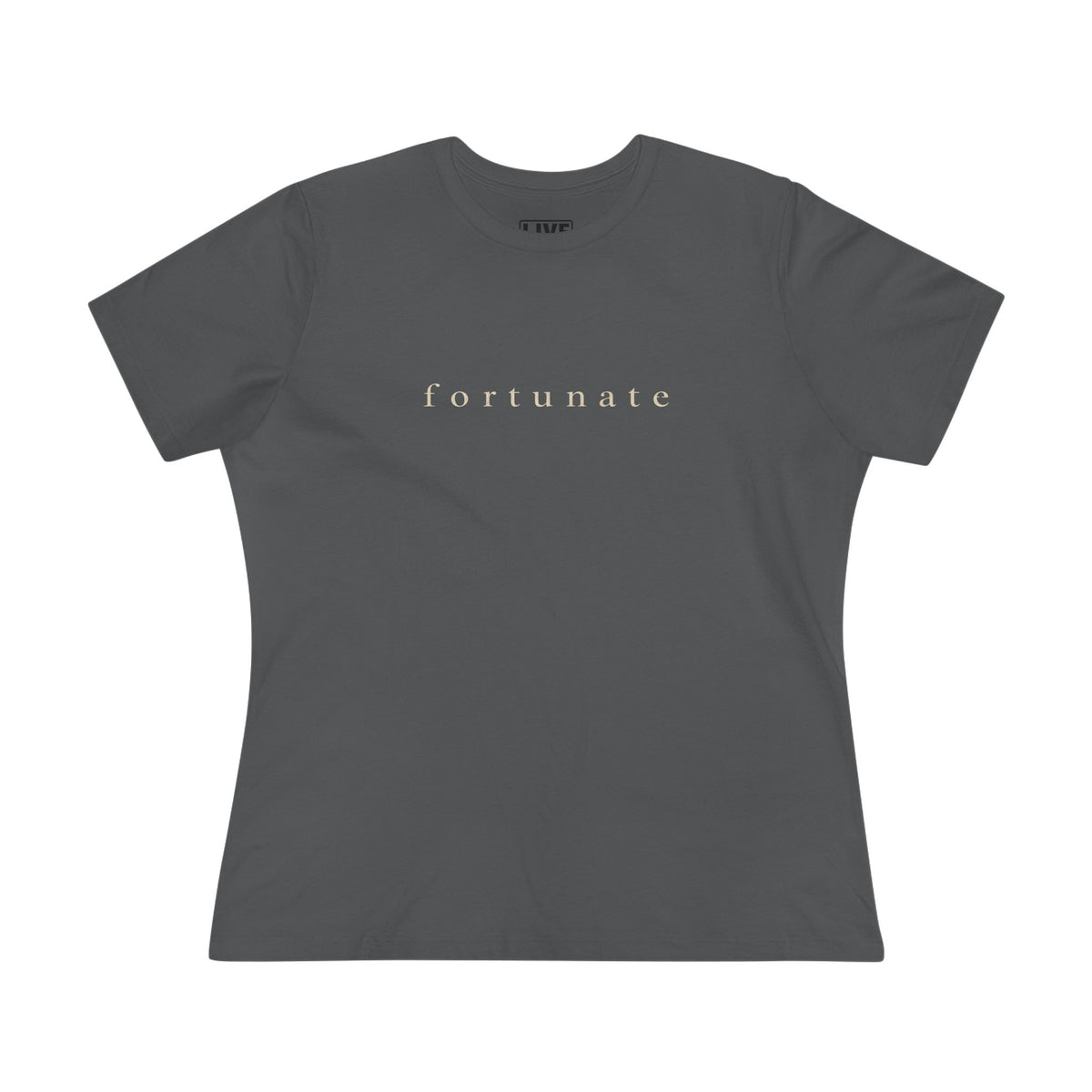 Fortunate Mindset Vintage Tee