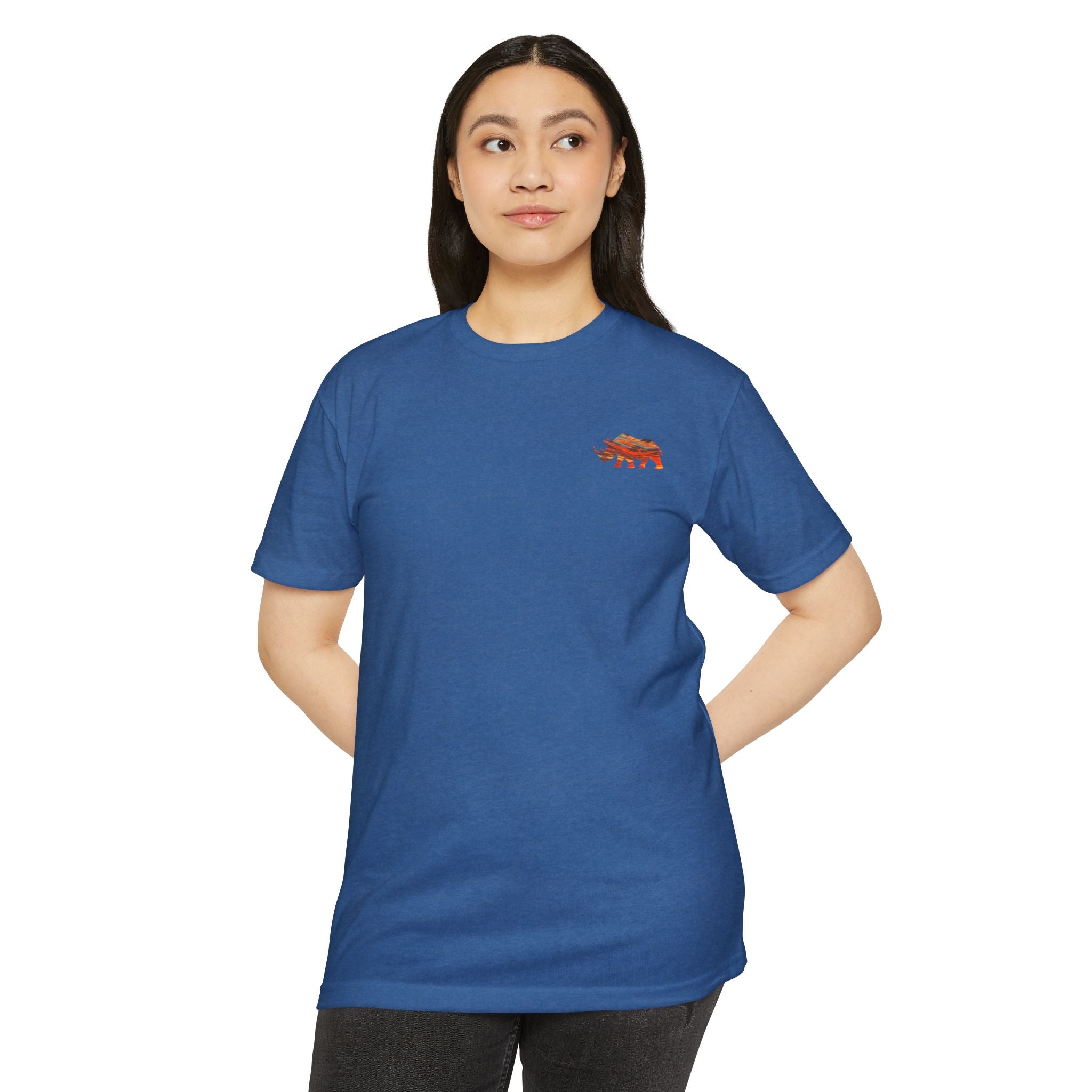 Chasing Sunsets Tee | Live Fortunate