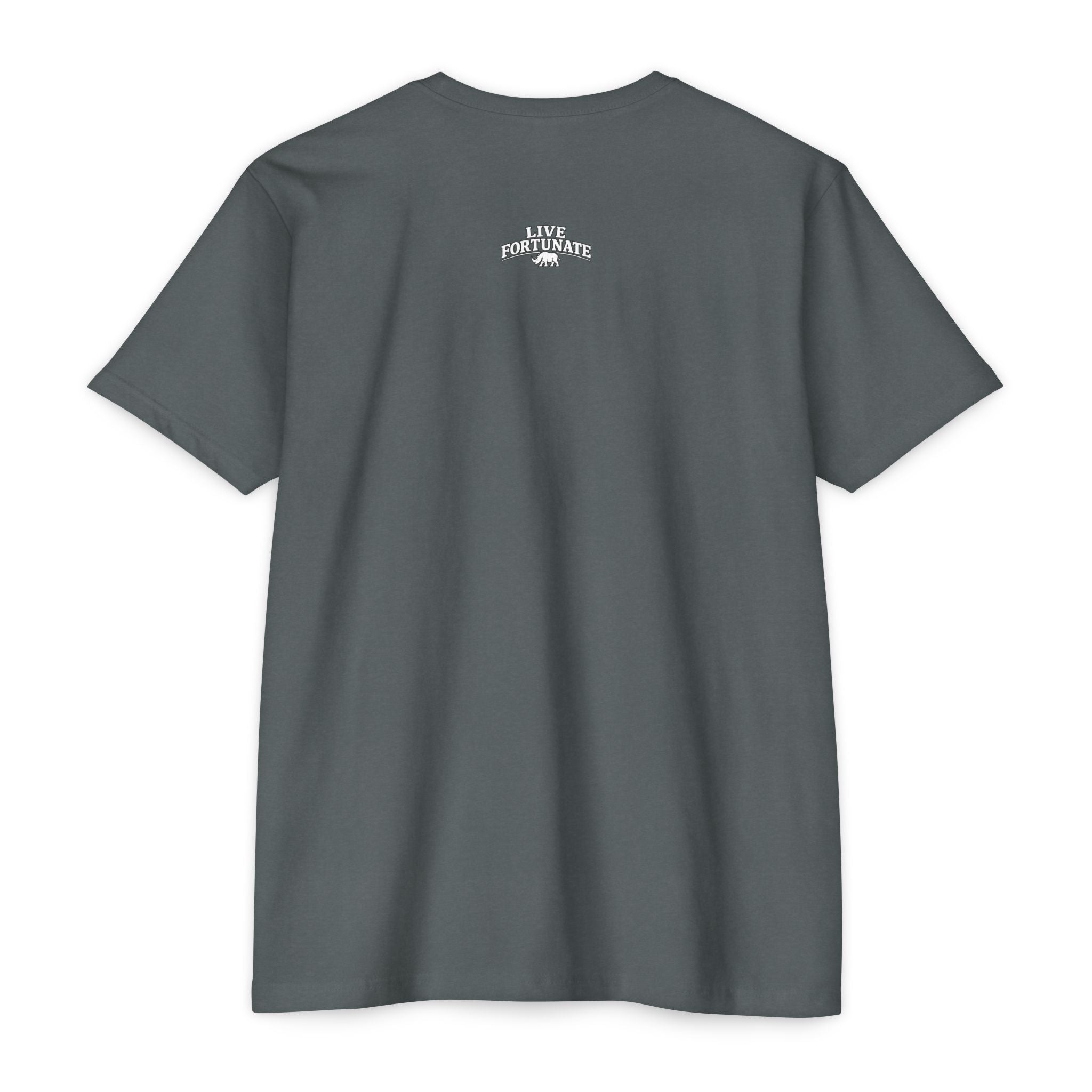 Self Awareness Tee | Live Fortunate