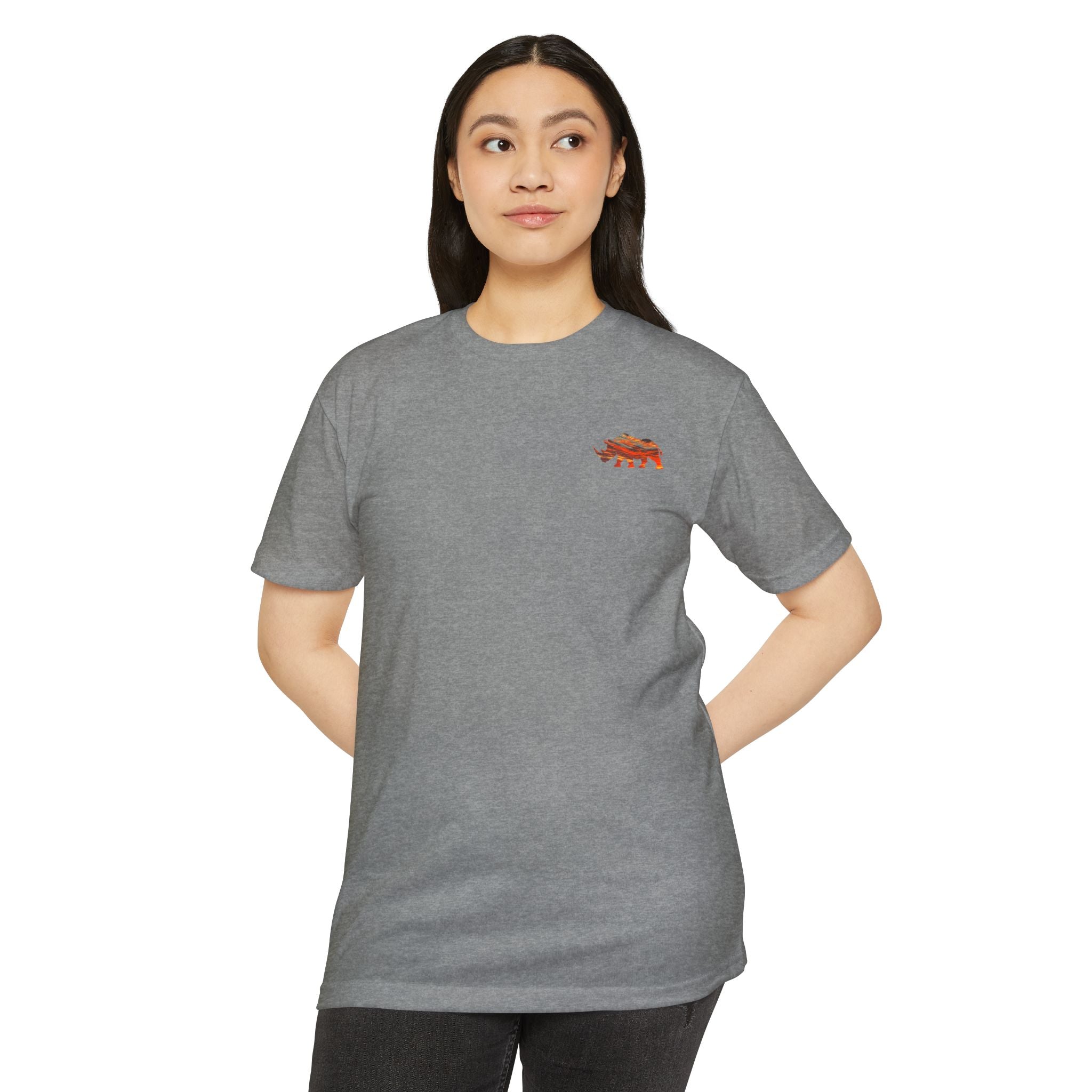 Chasing Sunsets Tee | Live Fortunate