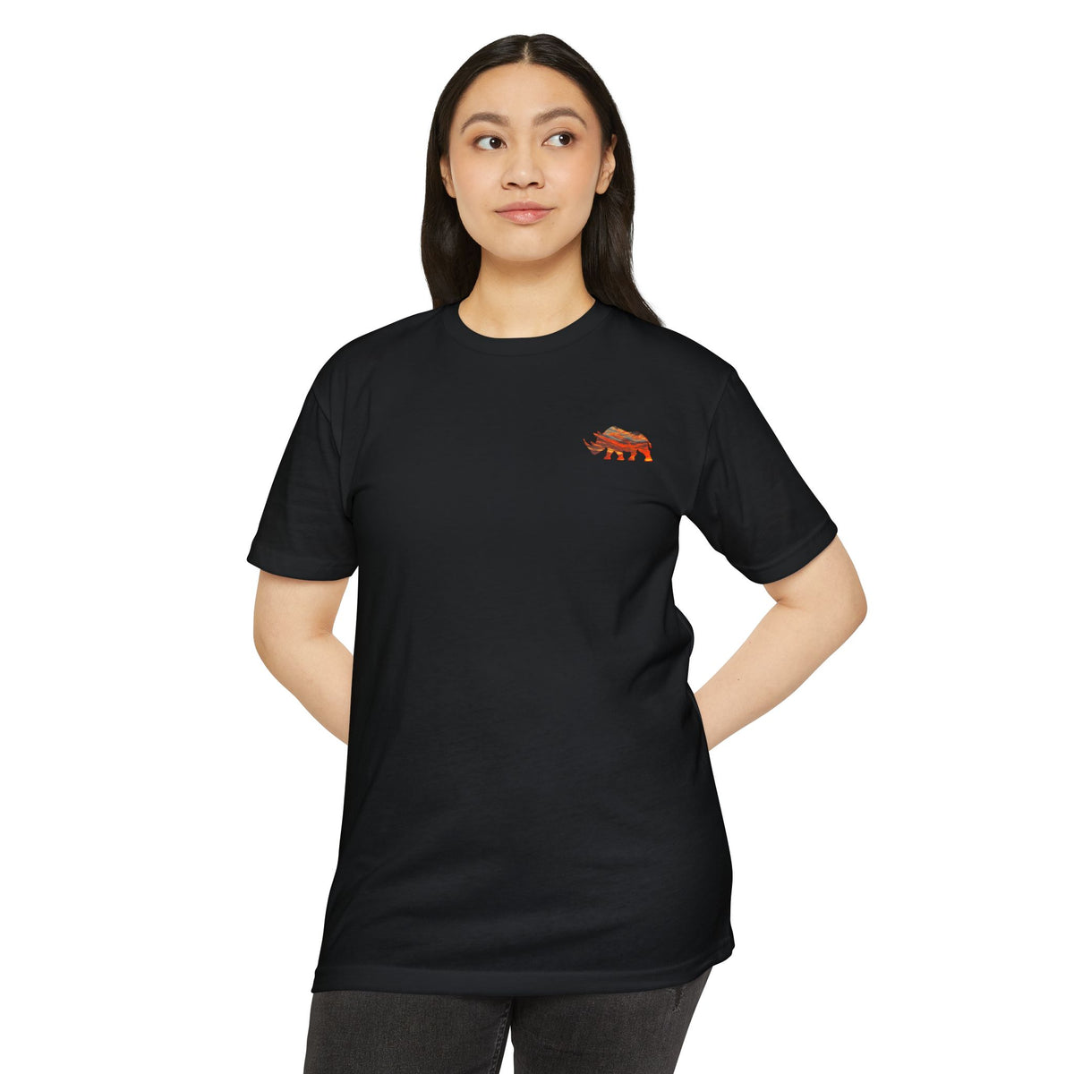 Chasing Sunsets Tee | Live Fortunate