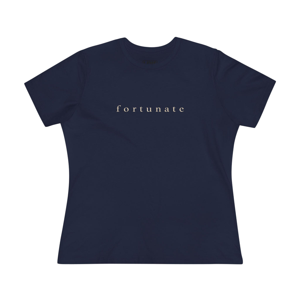 Fortunate Mindset Vintage Tee