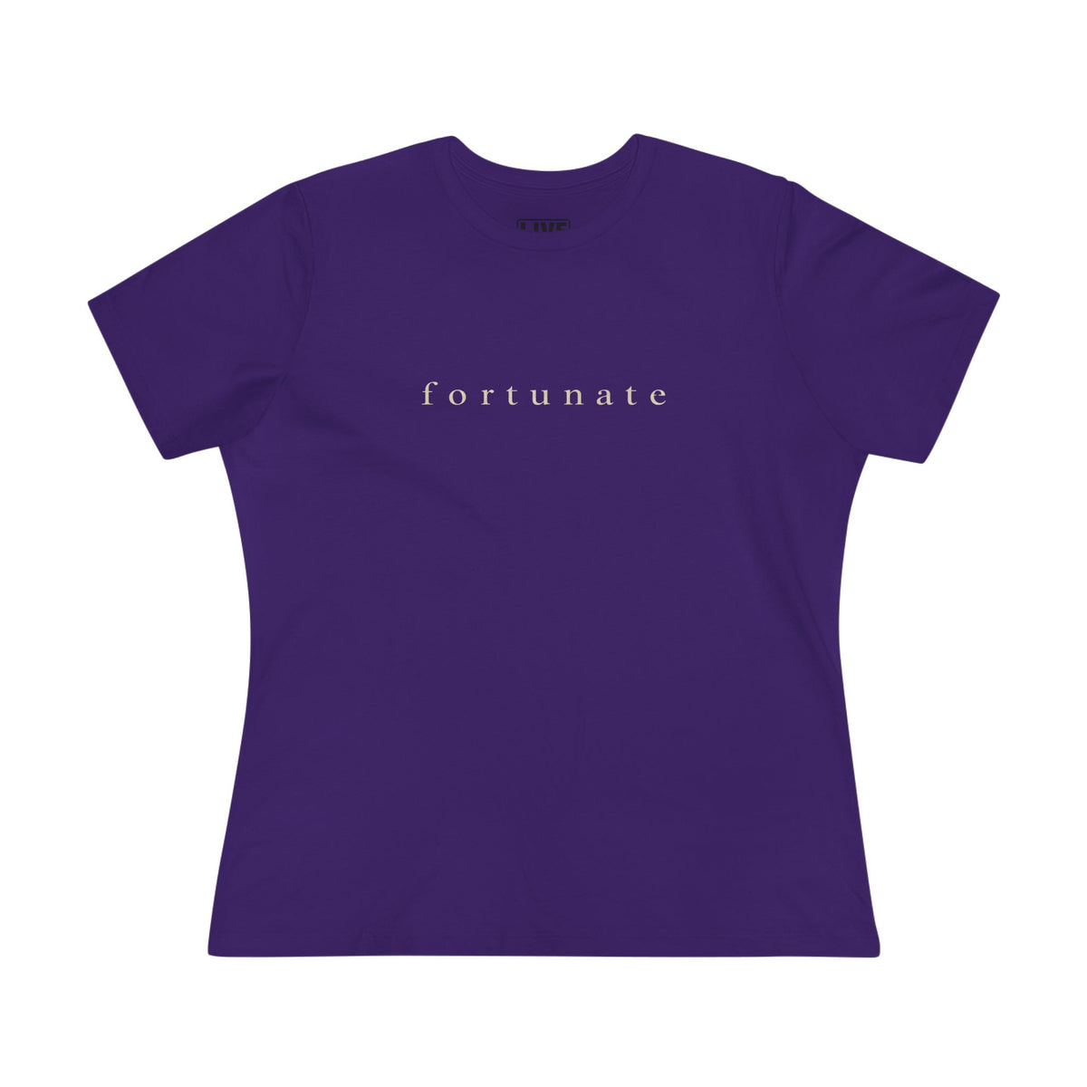 Fortunate Mindset Vintage Tee